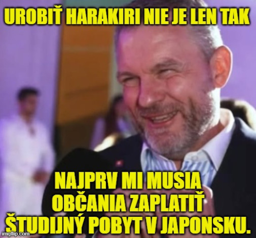 Príspevok 228195